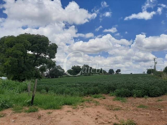 #109 - Sítio para Venda em Moji Mirim - SP - 1