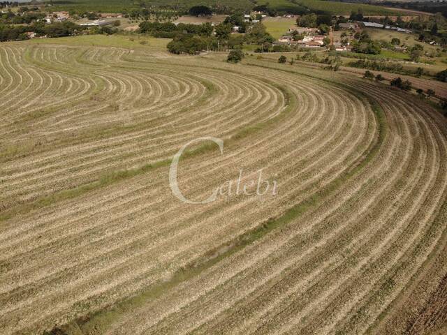 Venda em Área Rural de Mogi Mirim - Moji Mirim