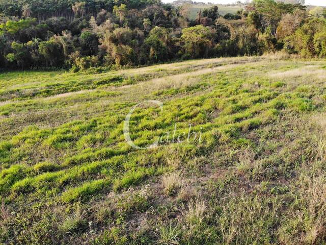 #173 - Sítio para Venda em Moji Mirim - SP