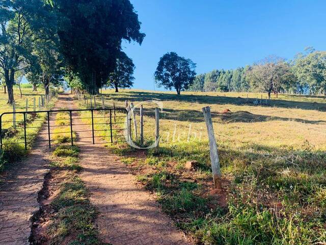 #189 - Sítio para Venda em Jacutinga - MG - 1