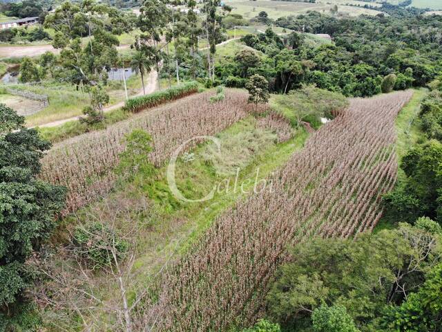 Venda em Área Rural de Engenheiro Coelho - Engenheiro Coelho