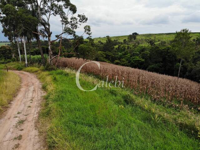 Sítio para Venda em Engenheiro Coelho - 5