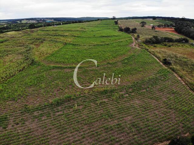 Venda em Área Rural de Artur Nogueira - Artur Nogueira