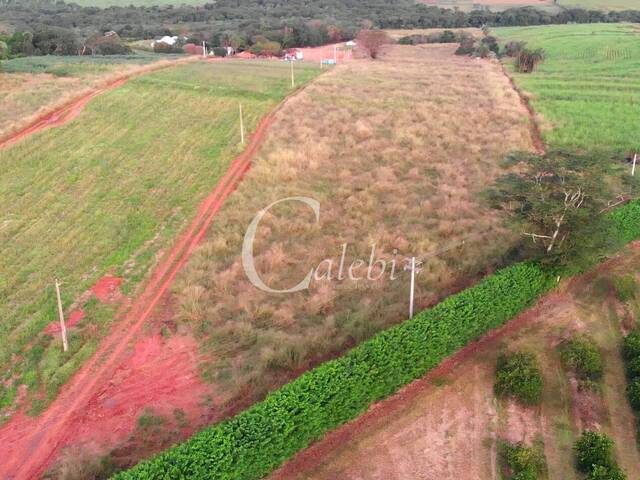 Venda em Área Rural de Artur Nogueira - Artur Nogueira