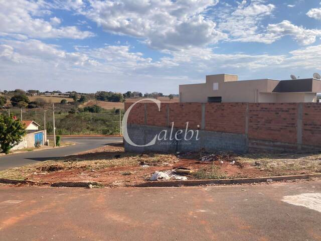 #217 - Terreno para Venda em Moji Mirim - SP