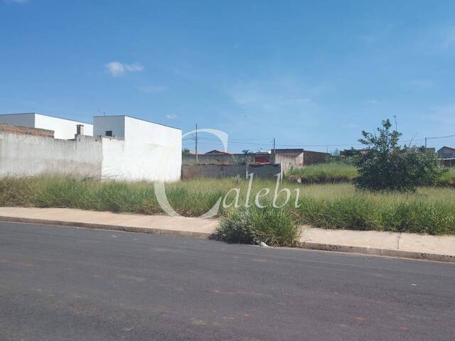 #227 - Terreno para Venda em Moji Mirim - SP - 1