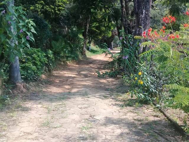Sítio para Venda em Jacutinga - 5