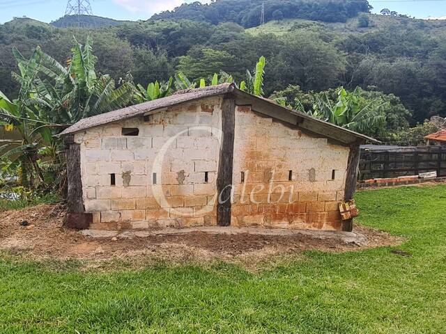 #255 - Fazenda para Venda em Itapira - SP - 3