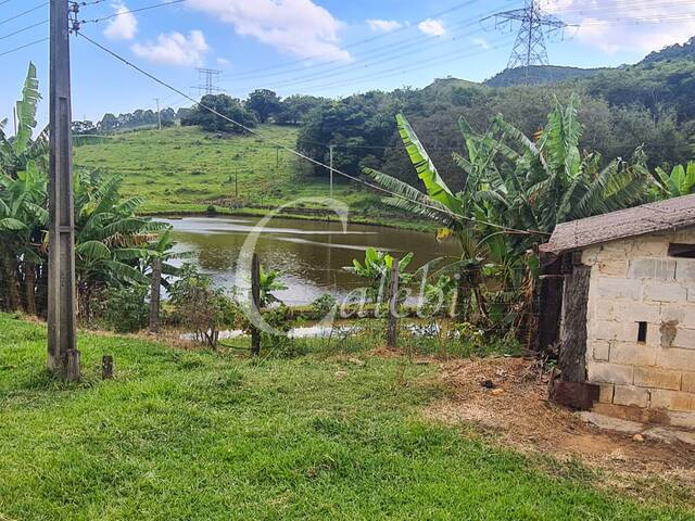 Fazenda para Venda em Itapira - 4