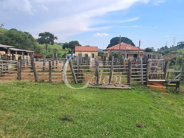 Fazenda para Venda em Itapira - 5