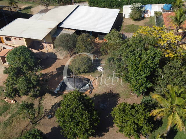 Haras para Venda em Santo Antônio de Posse - 5