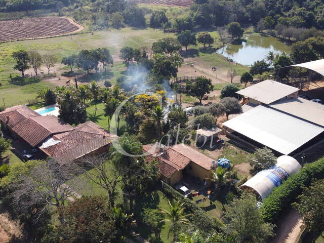 #230 - Haras para Venda em Santo Antônio de Posse - SP - 1