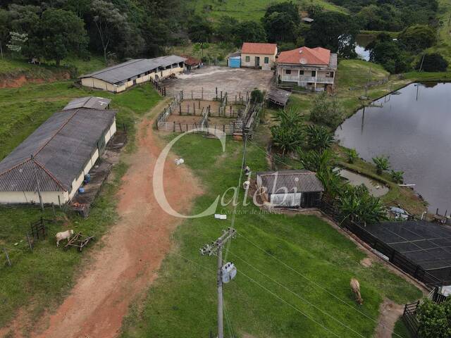 #255 - Fazenda para Venda em Itapira - SP - 1