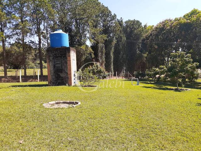 Sítio para Venda em Moji Mirim - 4