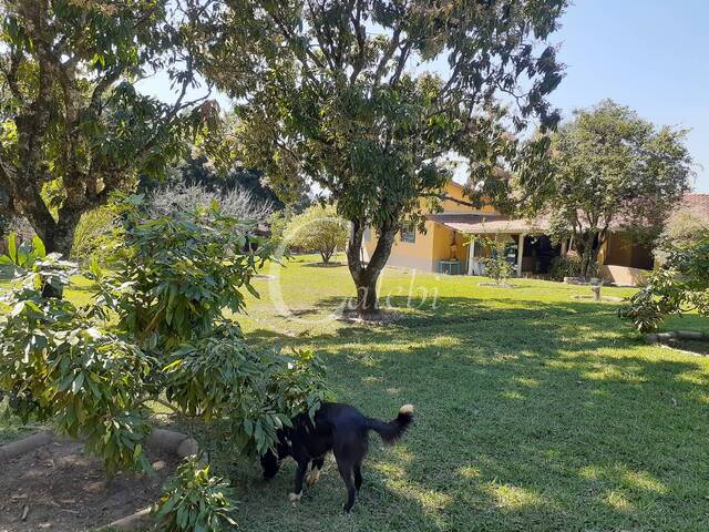 Sítio para Venda em Moji Mirim - 5
