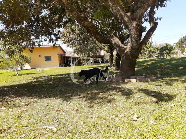 #259 - Sítio para Venda em Moji Mirim - SP