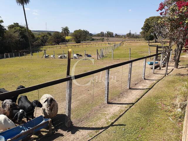 Venda em Área Rural de Mogi Mirim - Moji Mirim