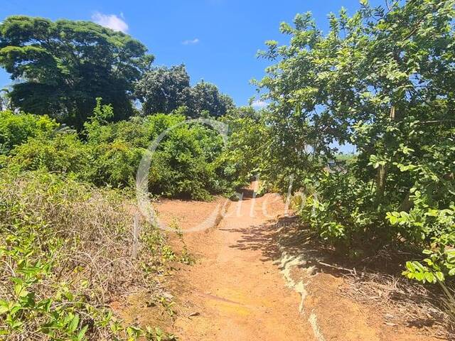 #264 - Sítio para Venda em Moji Mirim - SP - 3