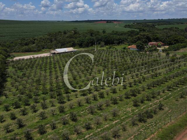 Venda em Área Rural de Conchal - Conchal