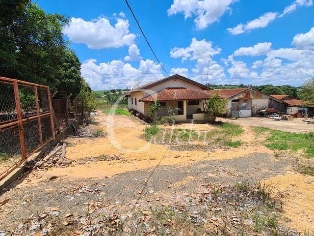 Sítio para Venda em Artur Nogueira - 5