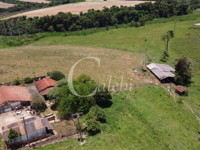 Venda em Área Rural de Artur Nogueira - Artur Nogueira