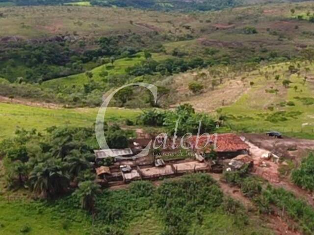 #283 - Fazenda para Venda em Tiros - MG - 1