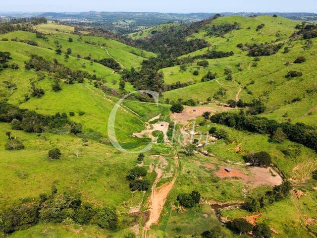 #284 - Fazenda para Venda em Itapira - SP - 3