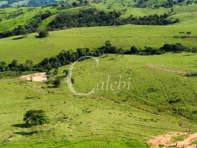 #284 - Fazenda para Venda em Itapira - SP - 2