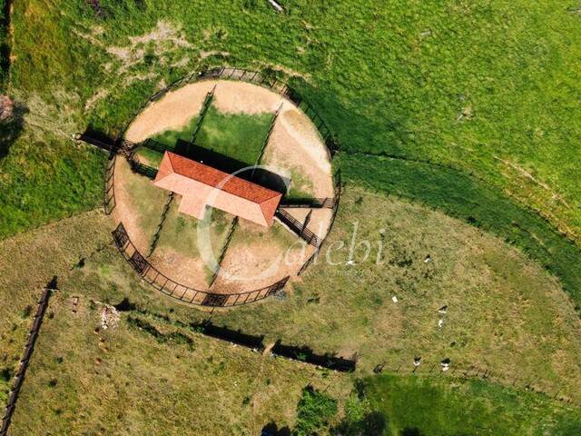 Fazenda para Venda em Itapira - 5