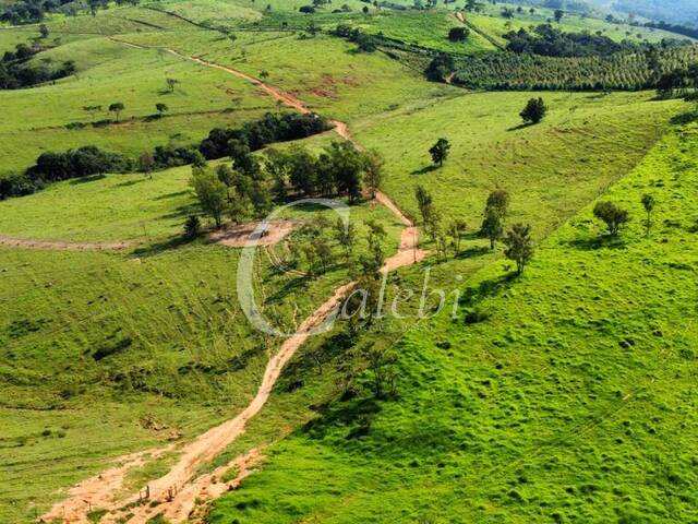 Fazenda para Venda em Itapira - 4