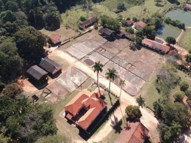 Fazenda para Venda em Serra Negra - 4