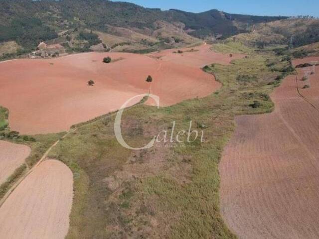 #285 - Fazenda para Venda em Serra Negra - SP - 1