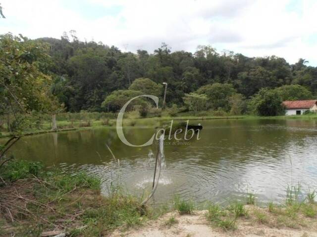 #285 - Fazenda para Venda em Serra Negra - SP - 3