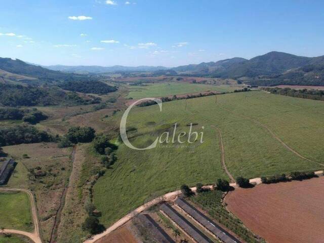 #285 - Fazenda para Venda em Serra Negra - SP - 2