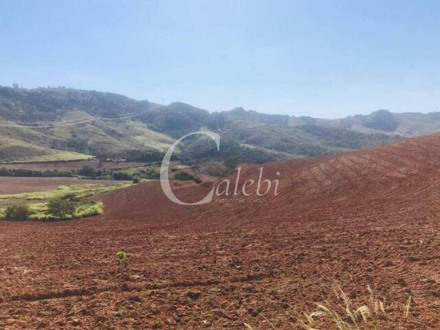 Fazenda para Venda em Serra Negra - 5