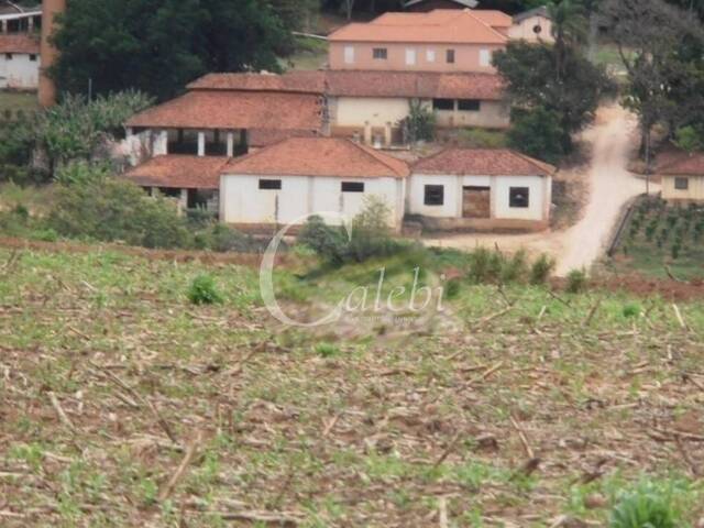 #285 - Fazenda para Venda em Serra Negra - SP - 3
