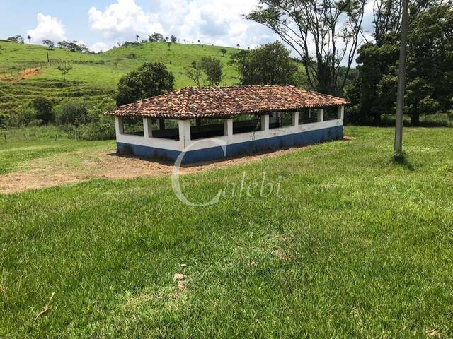 #295 - Fazenda para Venda em Itapira - SP - 2