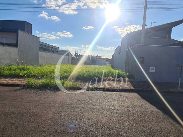 #304 - Terreno para Venda em Moji Mirim - SP - 2