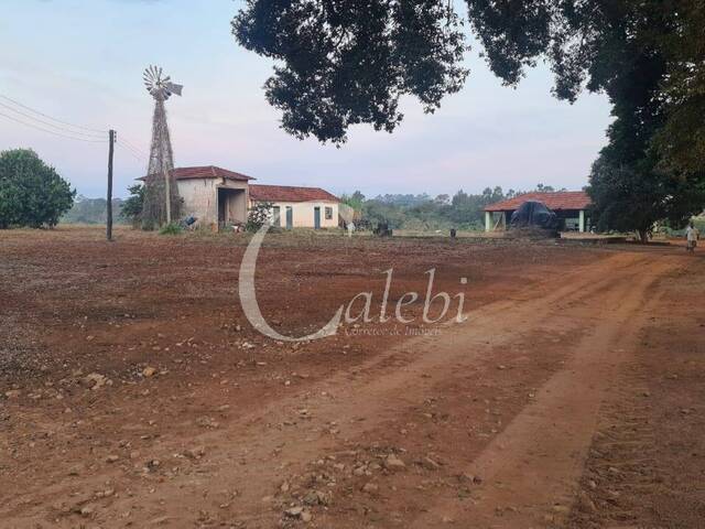 #316 - Sítio para Venda em Moji Mirim - SP - 1