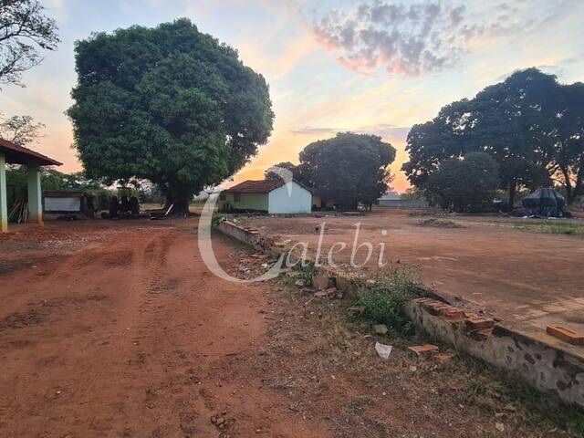 Sítio para Venda em Moji Mirim - 5