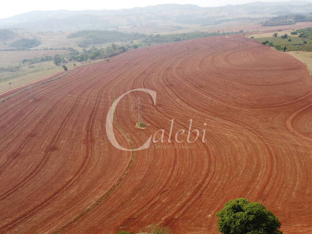 Venda em Área Rural de Itapira - Itapira