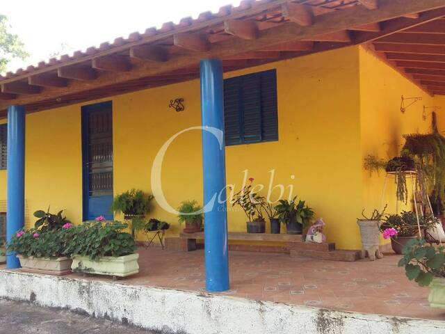 #379 - Sítio para Venda em Artur Nogueira - SP