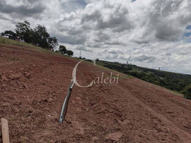 Sítio para Venda em Casa Branca - 5