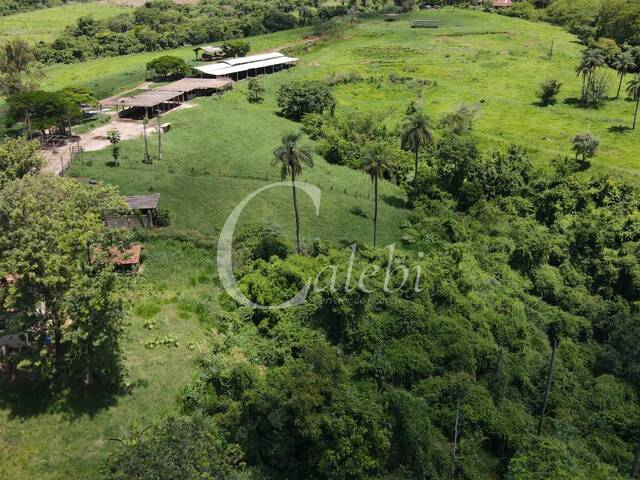#387 - Sítio para Venda em Casa Branca - SP