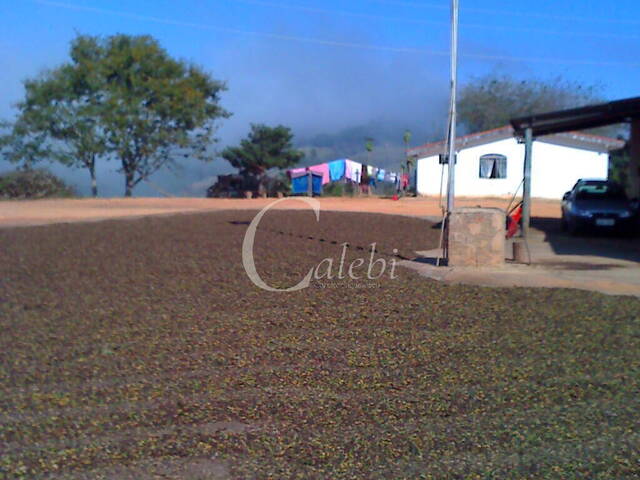 Sítio para Venda em Nova Resende - 5