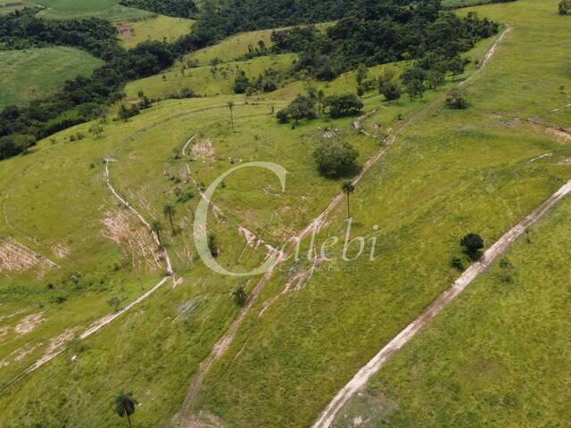 Sítio para Venda em Mogi Guaçu - 5