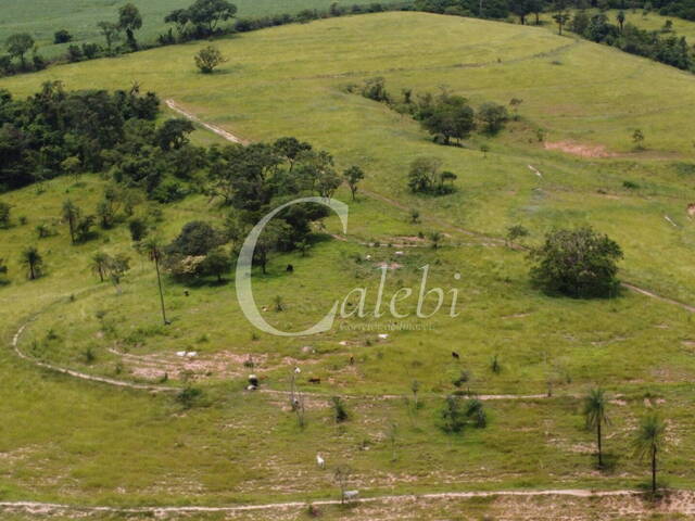 #403 - Sítio para Venda em Mogi Guaçu - SP - 1