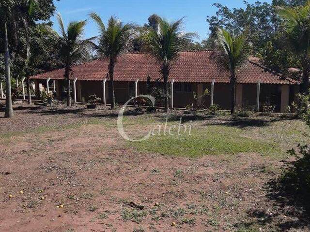 #407 - Sítio para Venda em Mogi Guaçu - SP