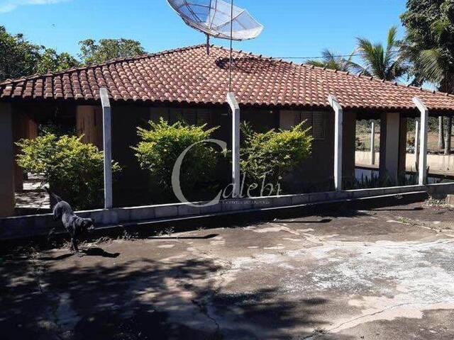 #407 - Sítio para Venda em Mogi Guaçu - SP - 2