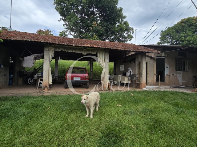Sítio para Venda em Mogi Guaçu - 4